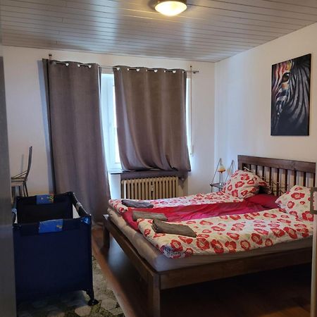 Apartments Nikol - Ludwigshafen Luaran gambar